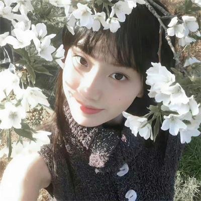 到青山那边去